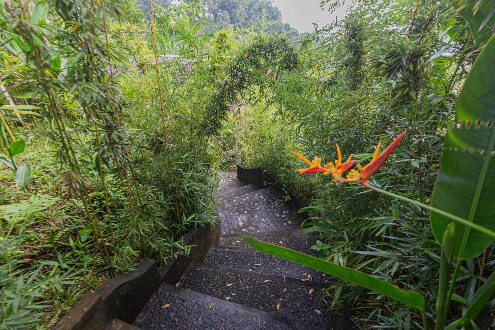 Shigar Livin Bali Villa Sidemen  Dış mekan fotoğraf